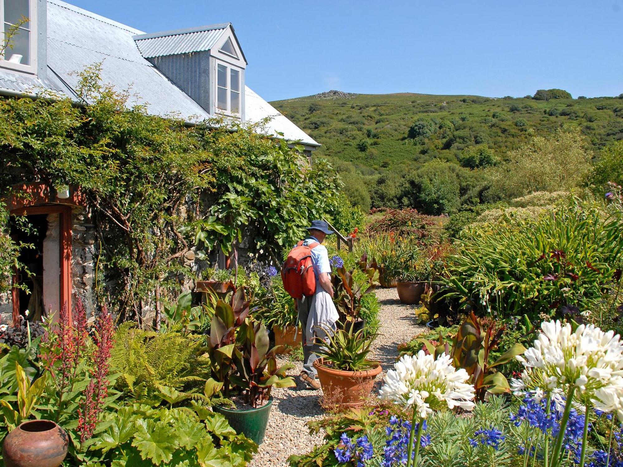 Wisteria Lodge - Qc1677 Cilgwm Eksteriør bilde